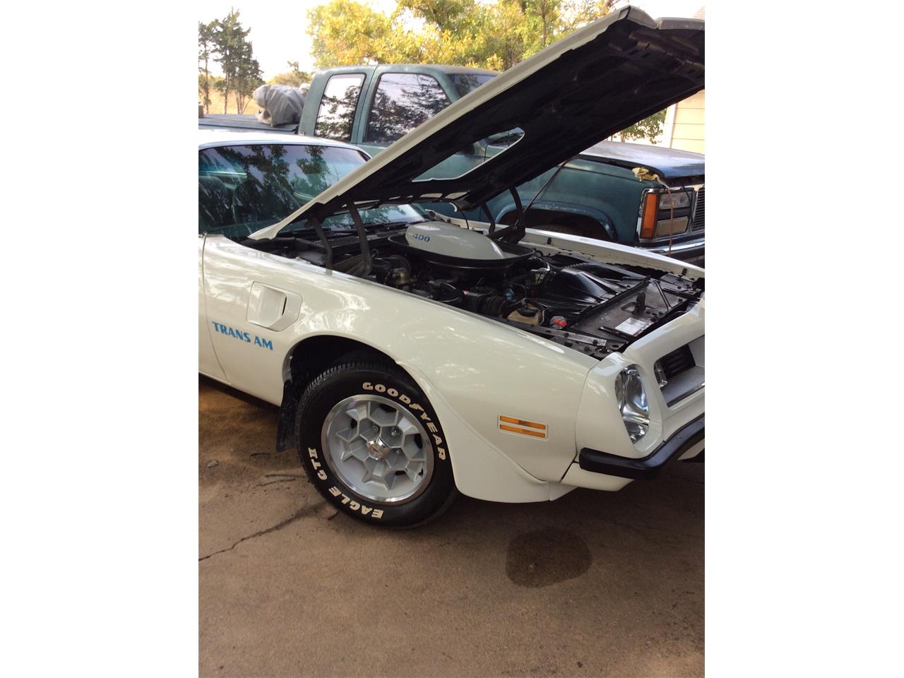 Pontiac-Firebird-trans-am-1975-White-baby-blue-13