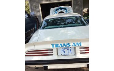 Pontiac-Firebird-trans-am-1975-White-baby-blue-14