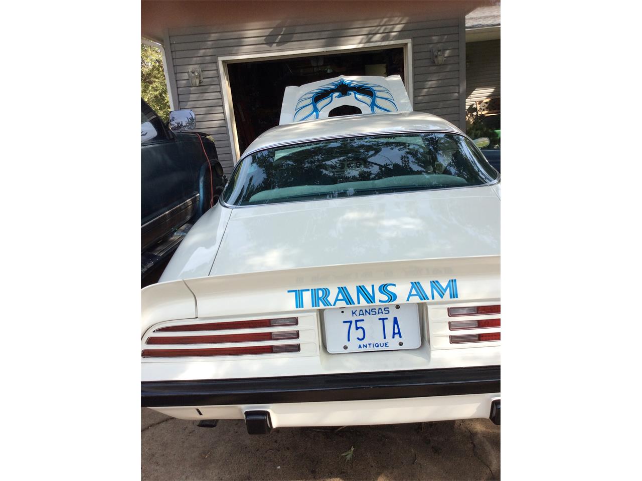 Pontiac-Firebird-trans-am-1975-White-baby-blue-14