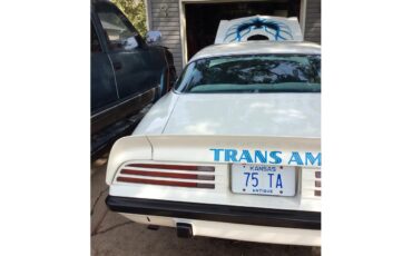 Pontiac-Firebird-trans-am-1975-White-baby-blue-15