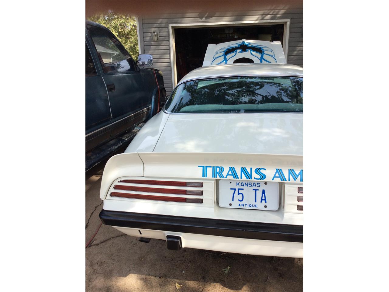 Pontiac-Firebird-trans-am-1975-White-baby-blue-15