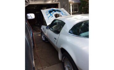 Pontiac-Firebird-trans-am-1975-White-baby-blue-16