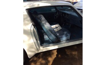 Pontiac-Firebird-trans-am-1975-White-baby-blue-17