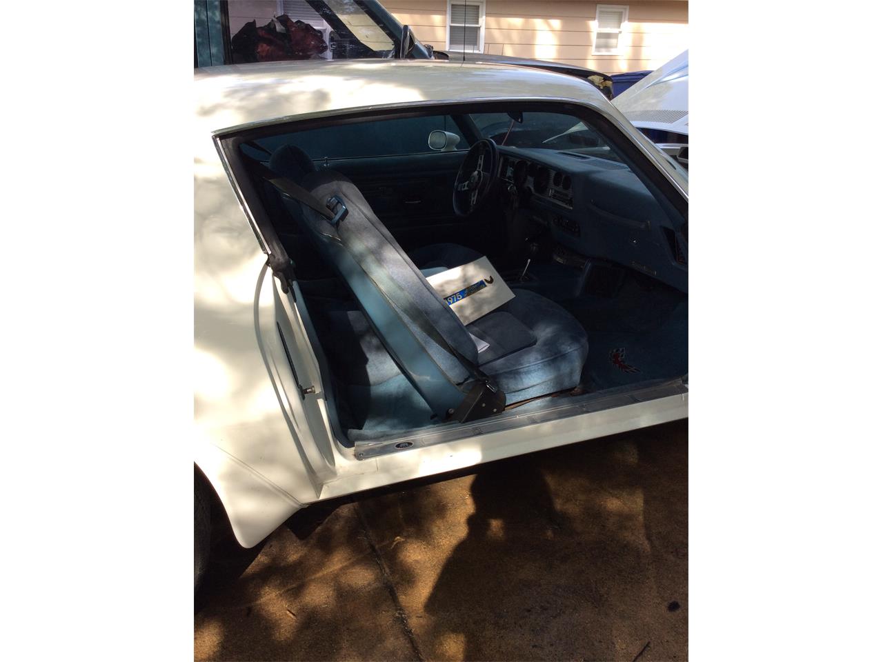 Pontiac-Firebird-trans-am-1975-White-baby-blue-17