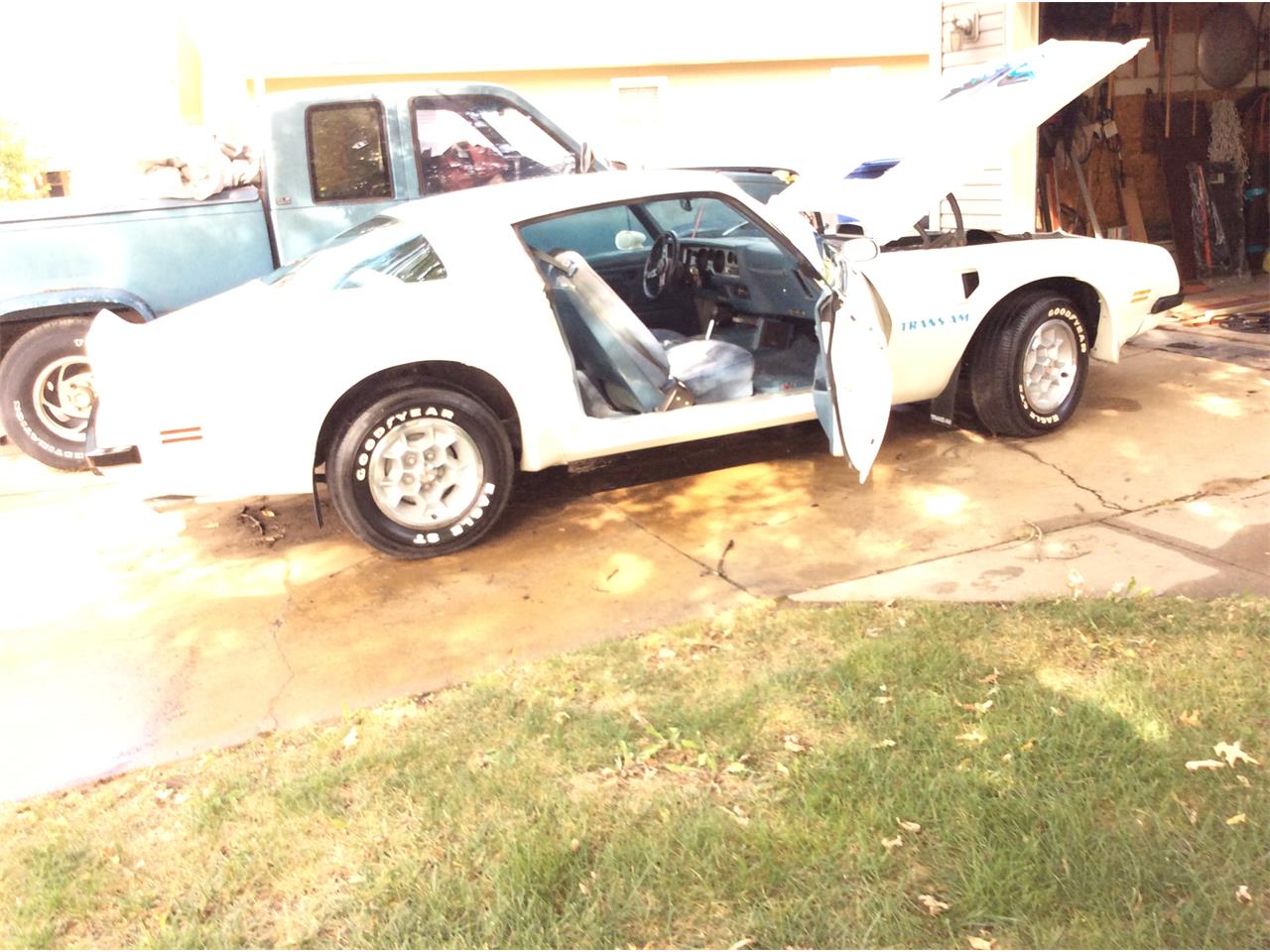 Pontiac-Firebird-trans-am-1975-White-baby-blue-2