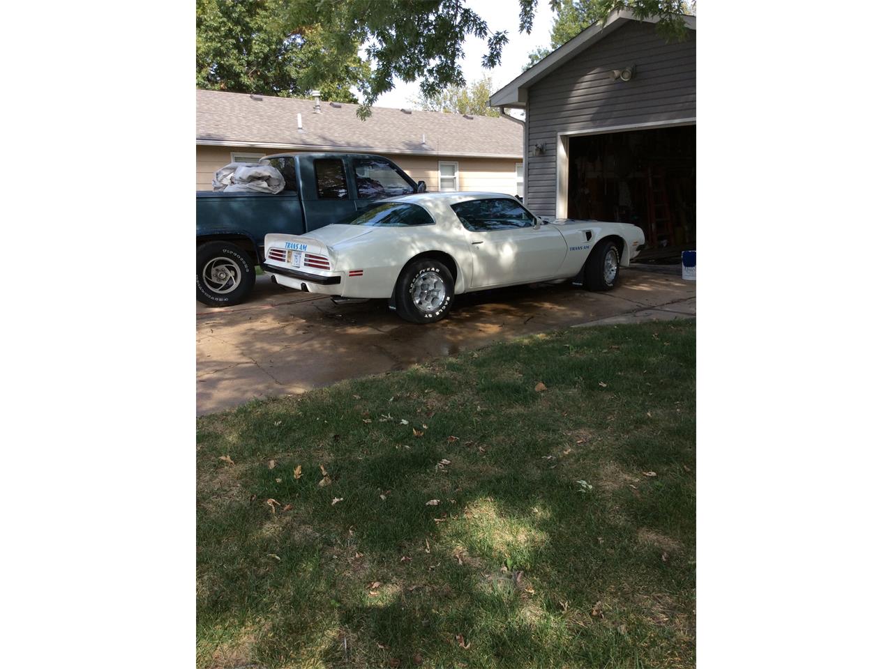 Pontiac-Firebird-trans-am-1975-White-baby-blue-3