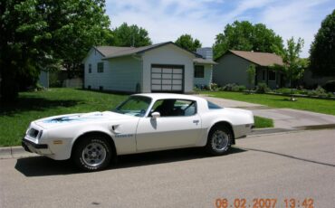 Pontiac-Firebird-trans-am-1975-White-baby-blue-4