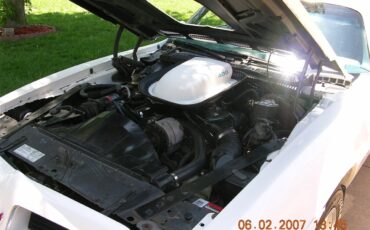 Pontiac-Firebird-trans-am-1975-White-baby-blue-8