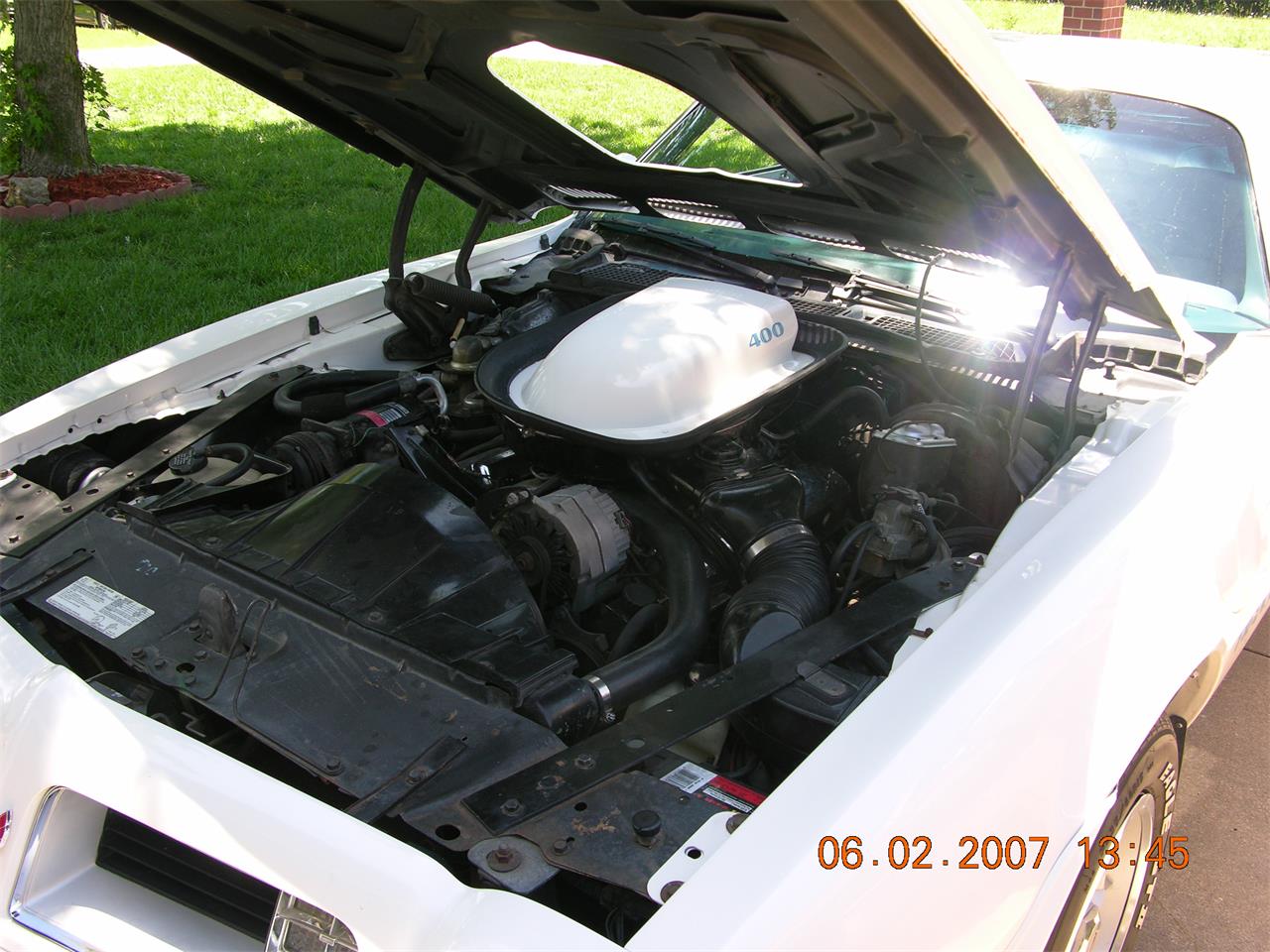Pontiac-Firebird-trans-am-1975-White-baby-blue-8