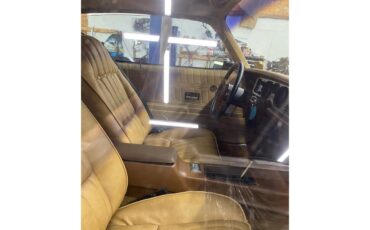Pontiac-Firebird-trans-am-1977-Black-Bucskin-1