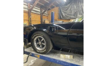 Pontiac-Firebird-trans-am-1977-Black-Bucskin-10