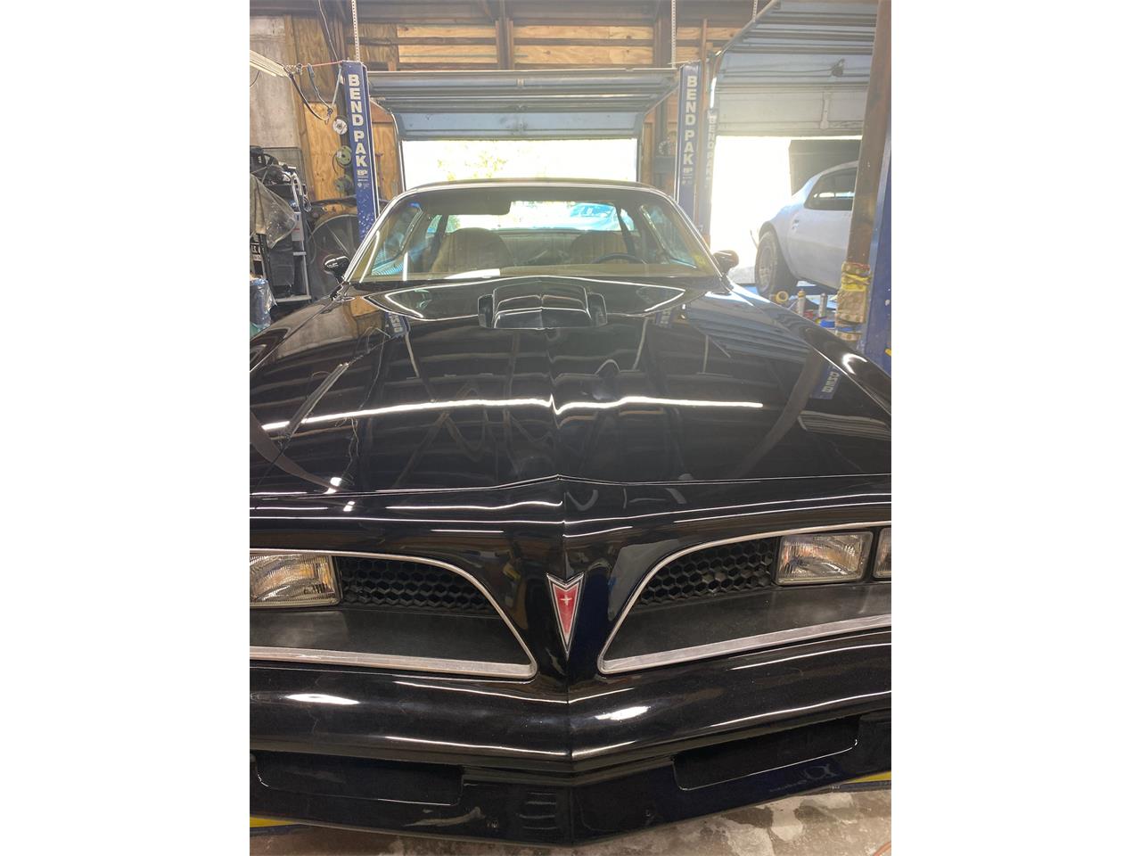 Pontiac-Firebird-trans-am-1977-Black-Bucskin-3