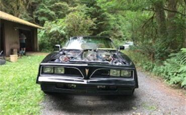 Pontiac-Firebird-trans-am-1978-Black-Gold-1