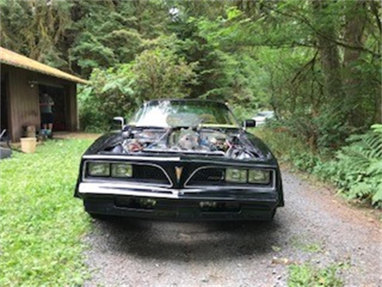 Pontiac-Firebird-trans-am-1978-Black-Gold-1