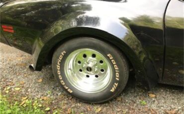 Pontiac-Firebird-trans-am-1978-Black-Gold-13