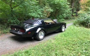 Pontiac-Firebird-trans-am-1978-Black-Gold-19