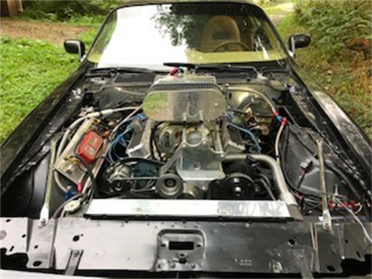 Pontiac-Firebird-trans-am-1978-Black-Gold-28