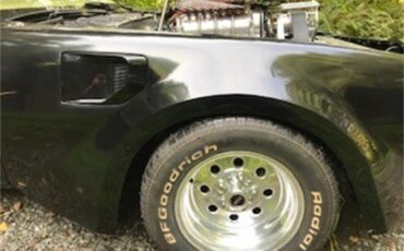 Pontiac-Firebird-trans-am-1978-Black-Gold-29