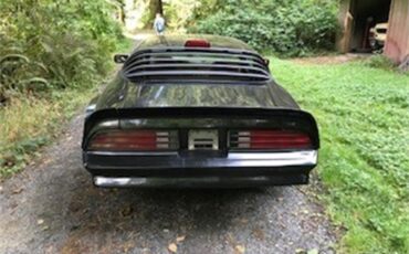 Pontiac-Firebird-trans-am-1978-Black-Gold-3