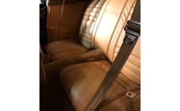 Pontiac-Firebird-trans-am-1978-Black-Gold-34