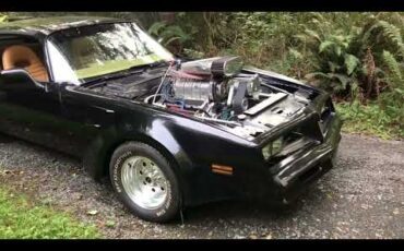 Pontiac-Firebird-trans-am-1978-Black-Gold