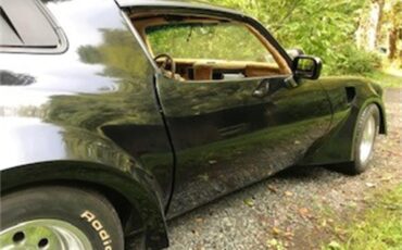 Pontiac-Firebird-trans-am-1978-Black-Gold-4