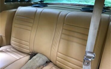 Pontiac-Firebird-trans-am-1978-Black-Gold-7