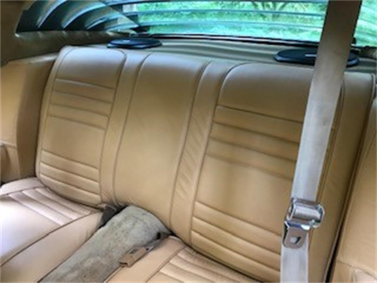 Pontiac-Firebird-trans-am-1978-Black-Gold-7