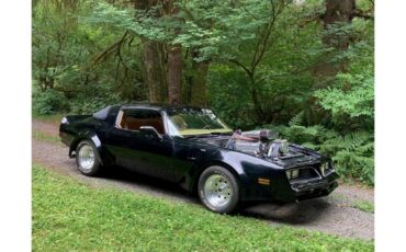 Pontiac-Firebird-trans-am-1978-Black-Gold-8