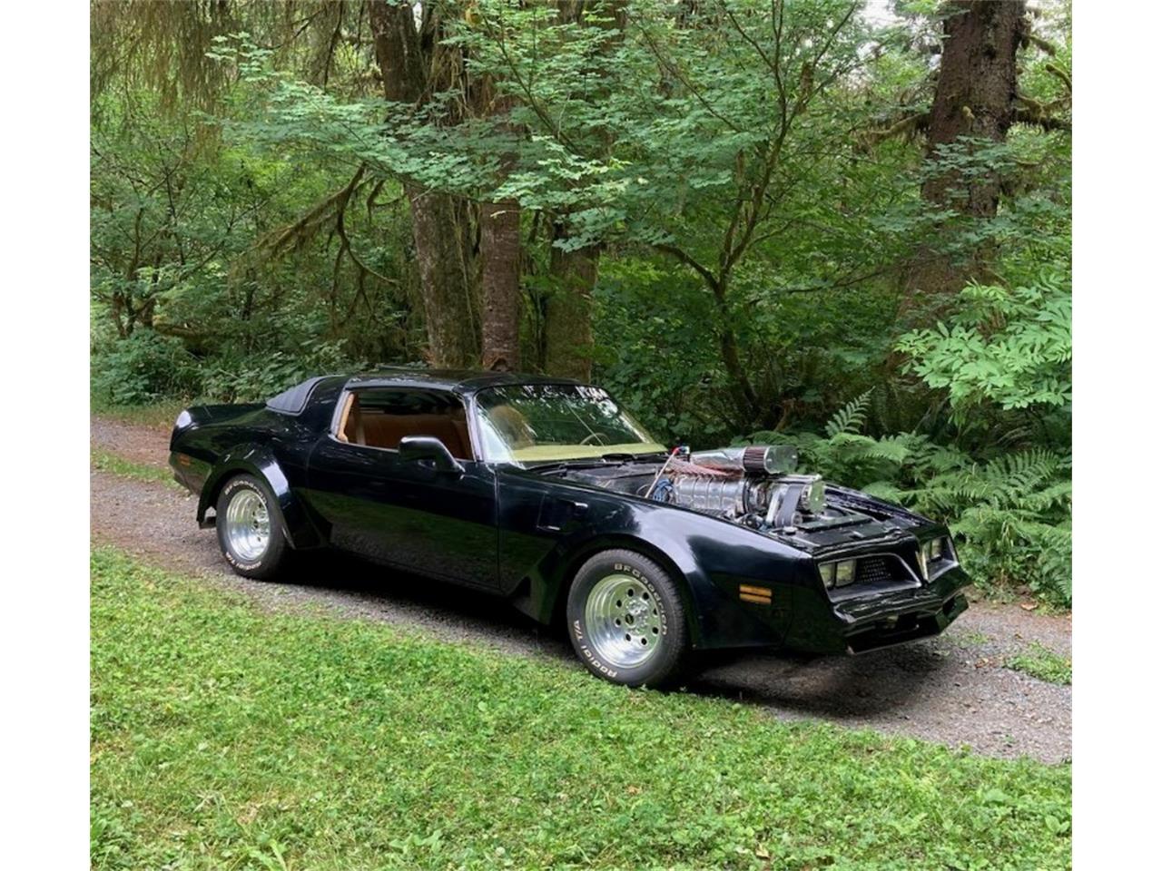 Pontiac-Firebird-trans-am-1978-Black-Gold-8