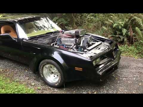Pontiac-Firebird-trans-am-1978-Black-Gold
