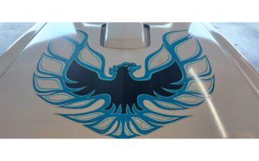 Pontiac-Firebird-trans-am-1978-White-Lt-Blue-15