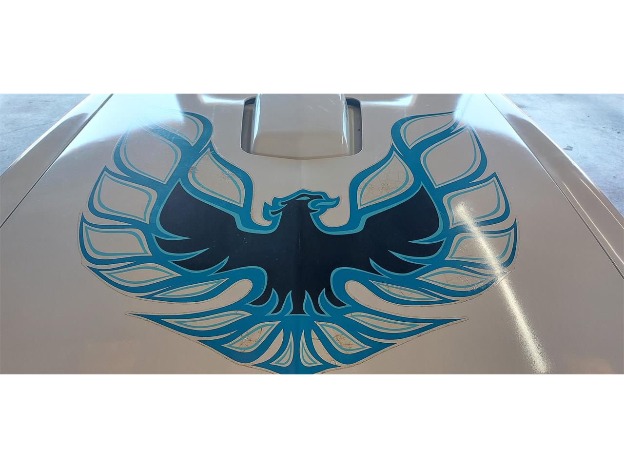 Pontiac-Firebird-trans-am-1978-White-Lt-Blue-15