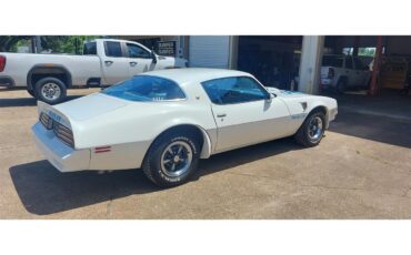 Pontiac-Firebird-trans-am-1978-White-Lt-Blue-16