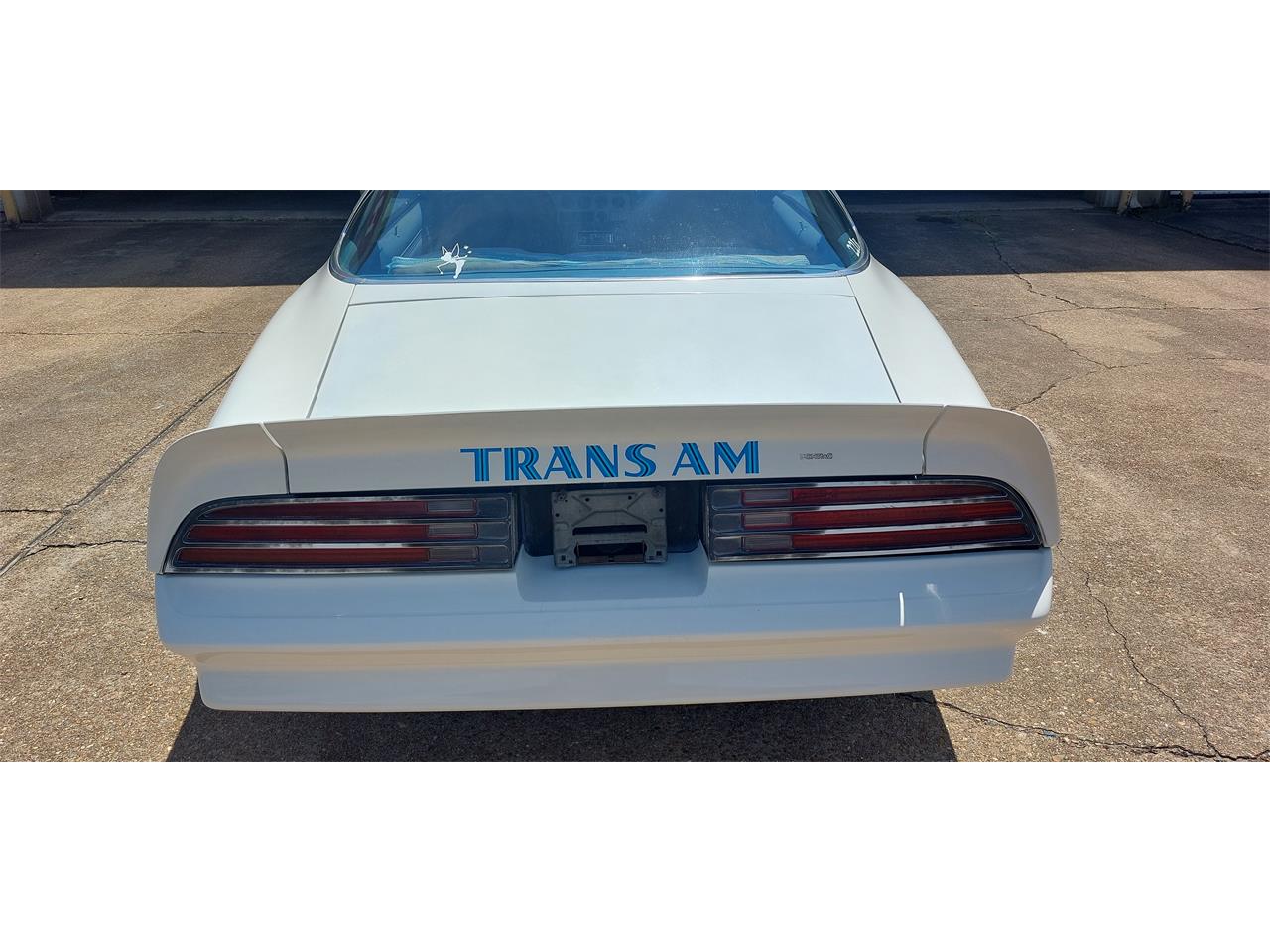 Pontiac-Firebird-trans-am-1978-White-Lt-Blue-17