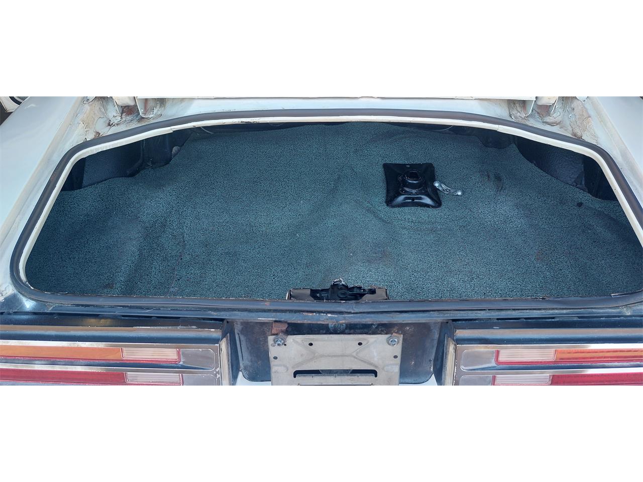 Pontiac-Firebird-trans-am-1978-White-Lt-Blue-5
