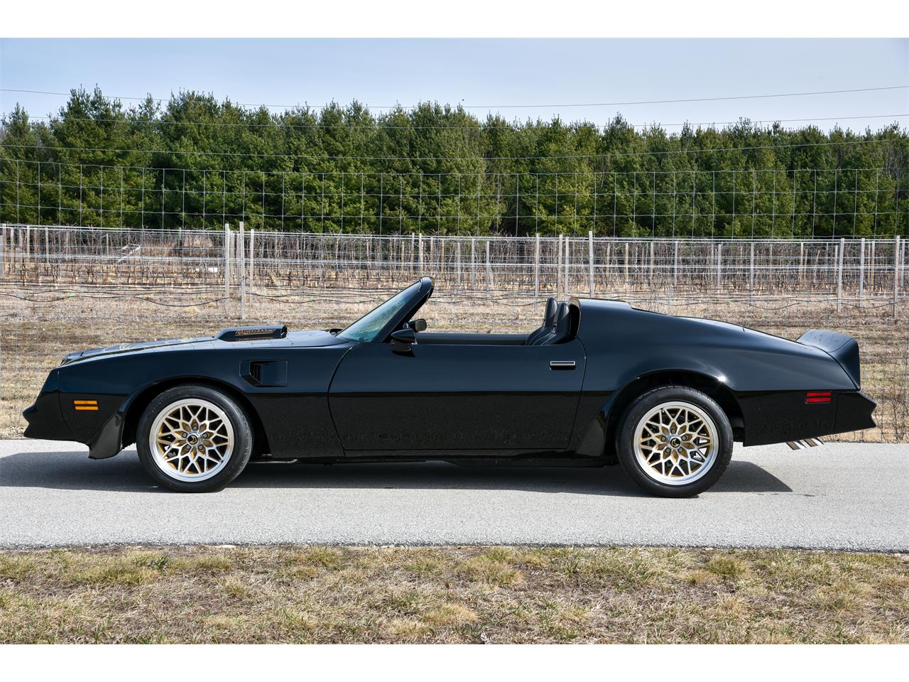 Pontiac-Firebird-trans-am-1978-black-black-3