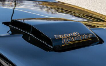 Pontiac-Firebird-trans-am-1978-black-black-6