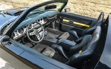 Pontiac-Firebird-trans-am-1978-black-black-7