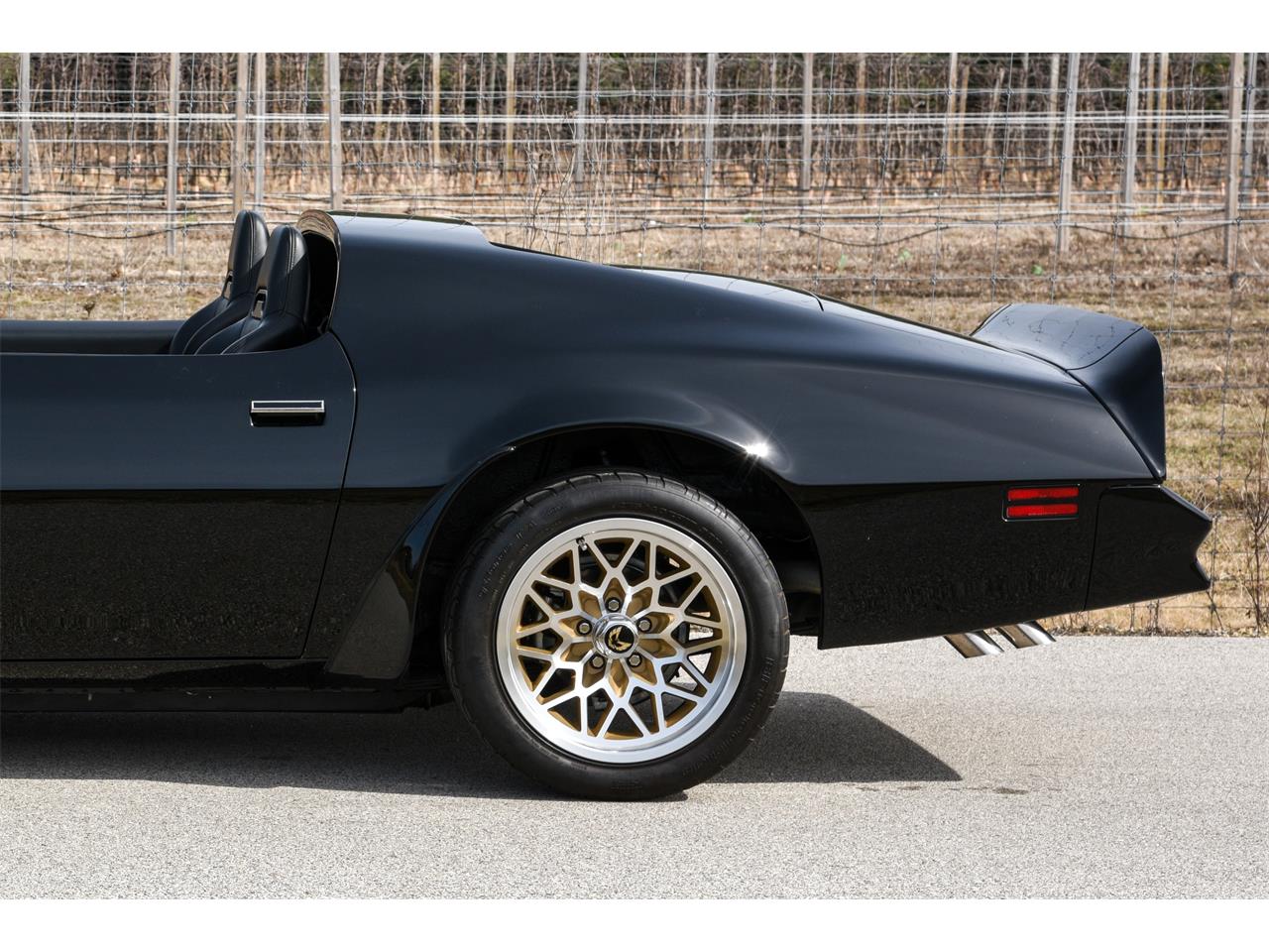 Pontiac-Firebird-trans-am-1978-black-black-8