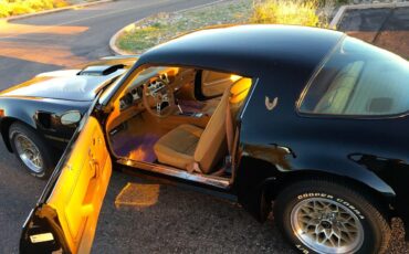 Pontiac-Firebird-trans-am-1979-Black-Tan-11