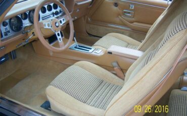 Pontiac-Firebird-trans-am-1979-Black-Tan-18