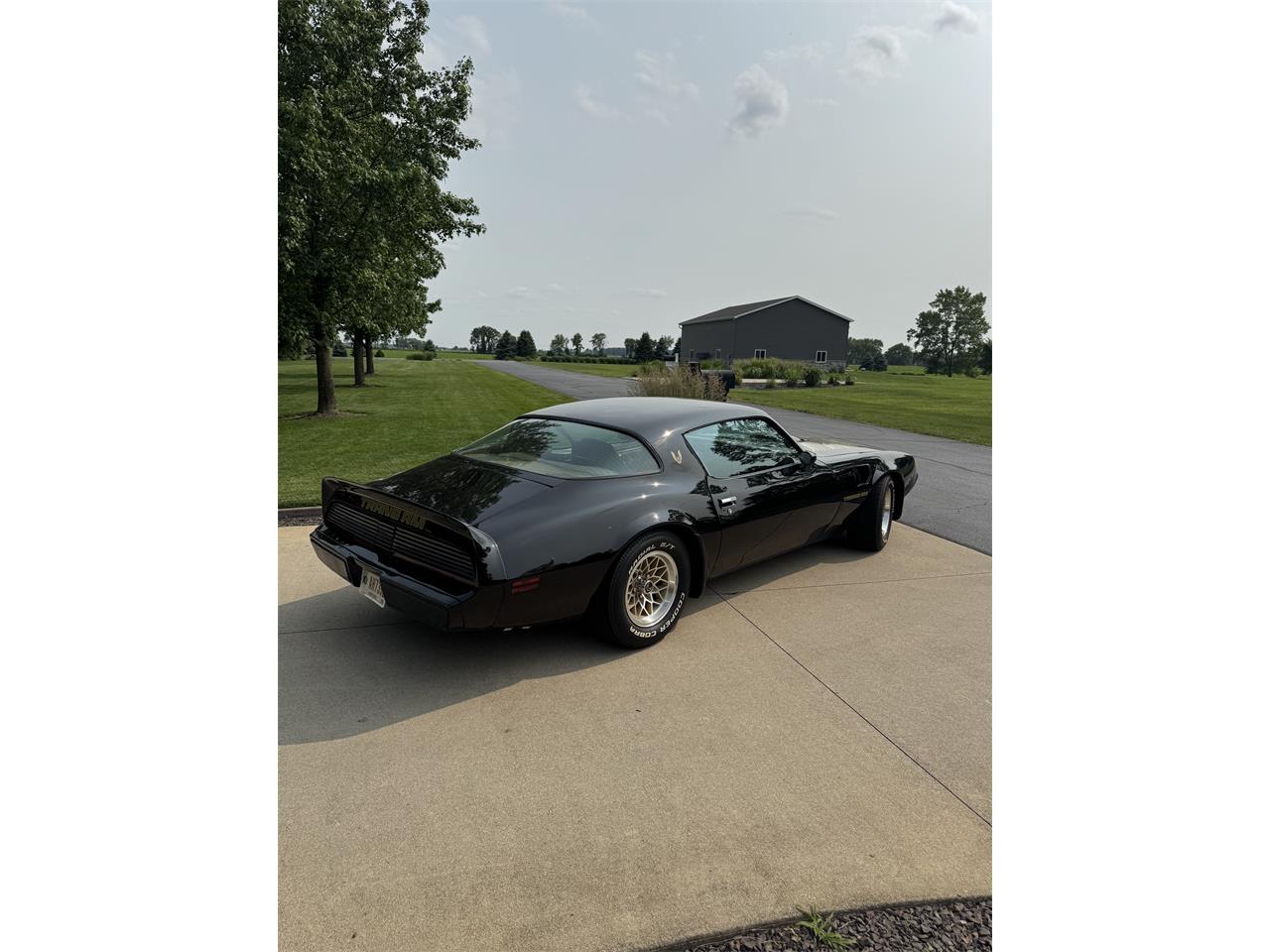 Pontiac-Firebird-trans-am-1979-Black-Tan-2