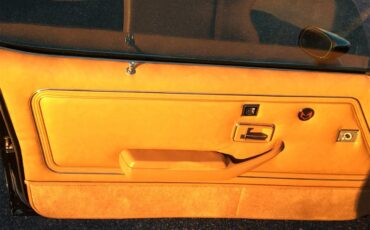 Pontiac-Firebird-trans-am-1979-Black-Tan-21