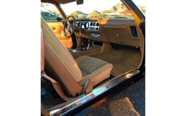 Pontiac-Firebird-trans-am-1979-Black-Tan-24