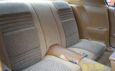 Pontiac-Firebird-trans-am-1979-Black-Tan-25