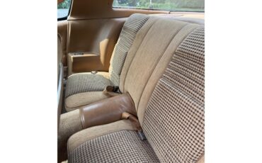 Pontiac-Firebird-trans-am-1979-Black-Tan-5