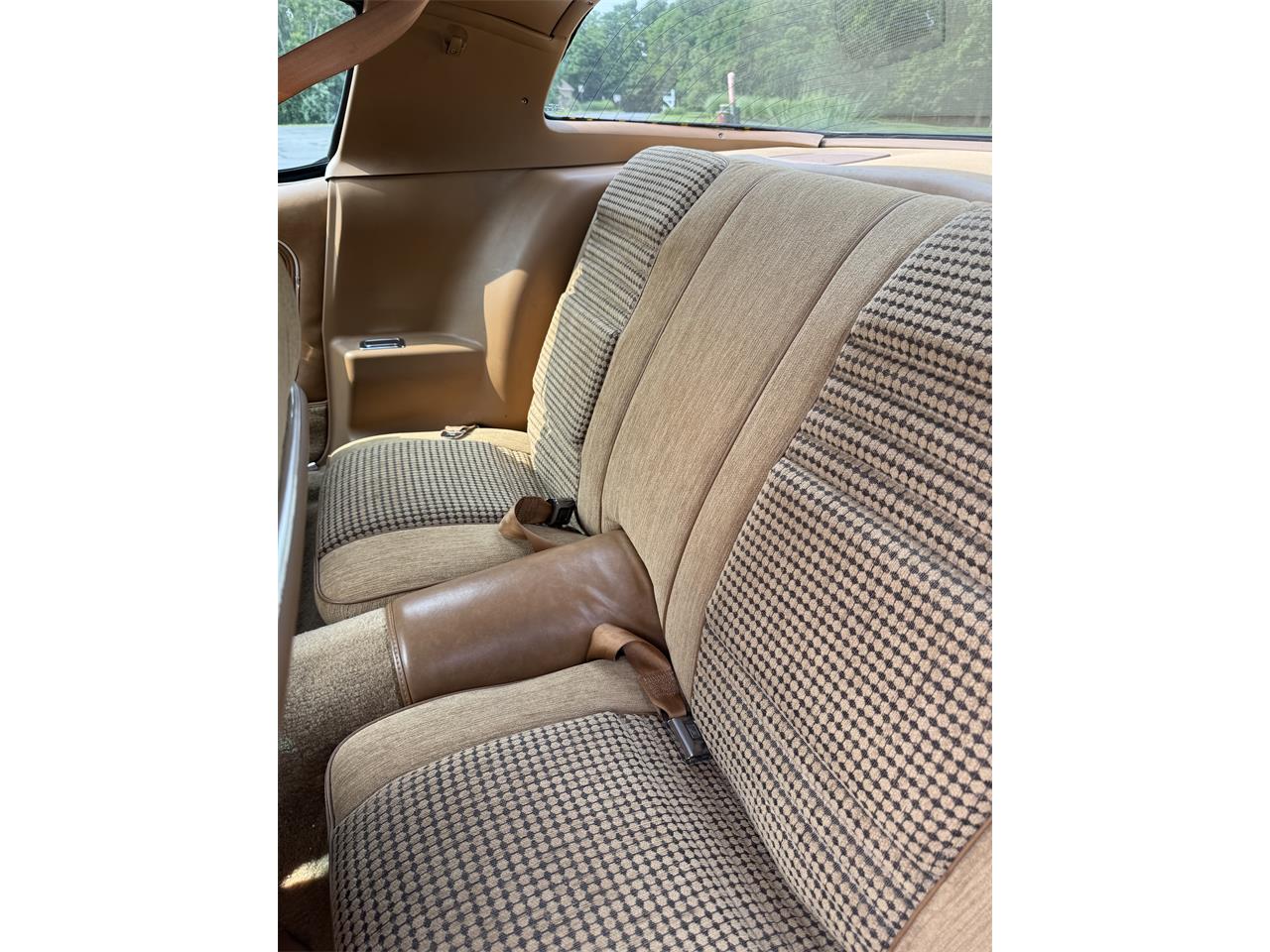 Pontiac-Firebird-trans-am-1979-Black-Tan-5
