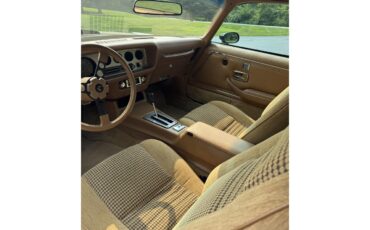 Pontiac-Firebird-trans-am-1979-Black-Tan-6