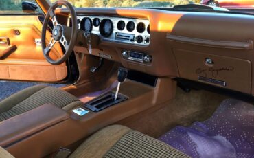 Pontiac-Firebird-trans-am-1979-Black-Tan-7